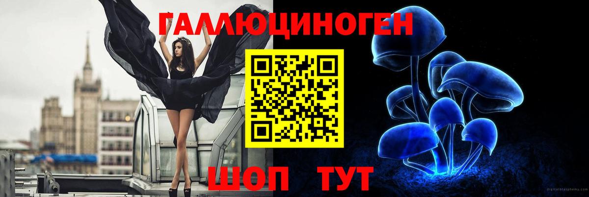 Псилоцибиновые грибы GOLDEN TEACHER  Вход с VPN  Псилоцибиновые грибы ЛСД  Сургут 